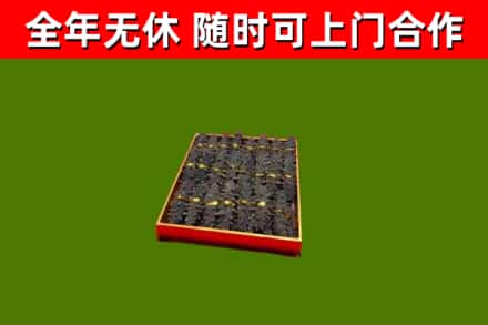 涧西回收海参